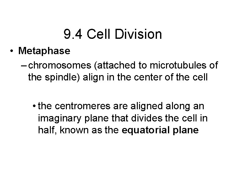 9. 4 Cell Division • Metaphase – chromosomes (attached to microtubules of the spindle)