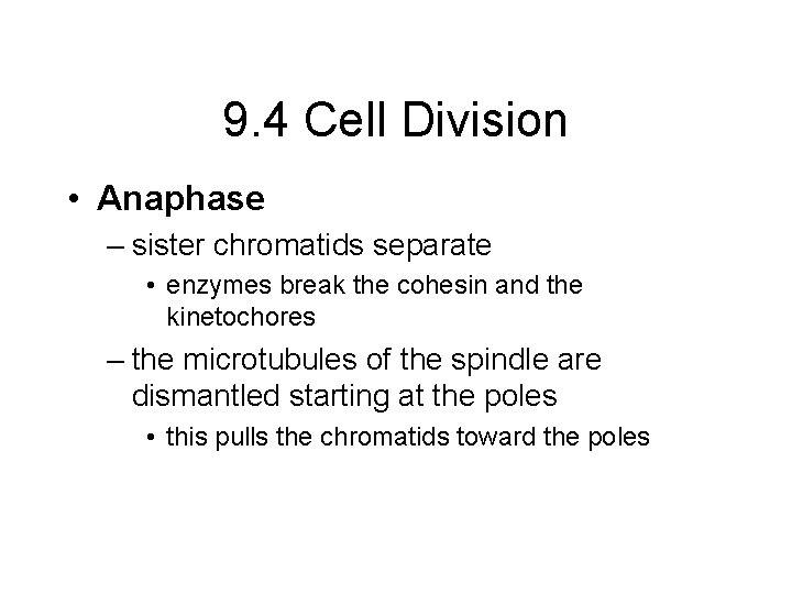 9. 4 Cell Division • Anaphase – sister chromatids separate • enzymes break the