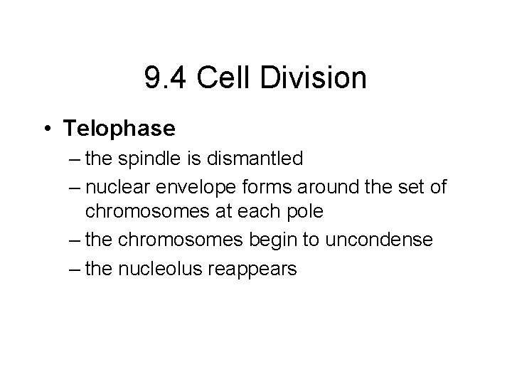 9. 4 Cell Division • Telophase – the spindle is dismantled – nuclear envelope