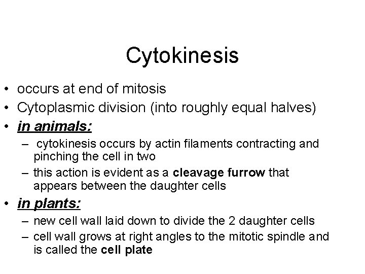 Cytokinesis • occurs at end of mitosis • Cytoplasmic division (into roughly equal halves)