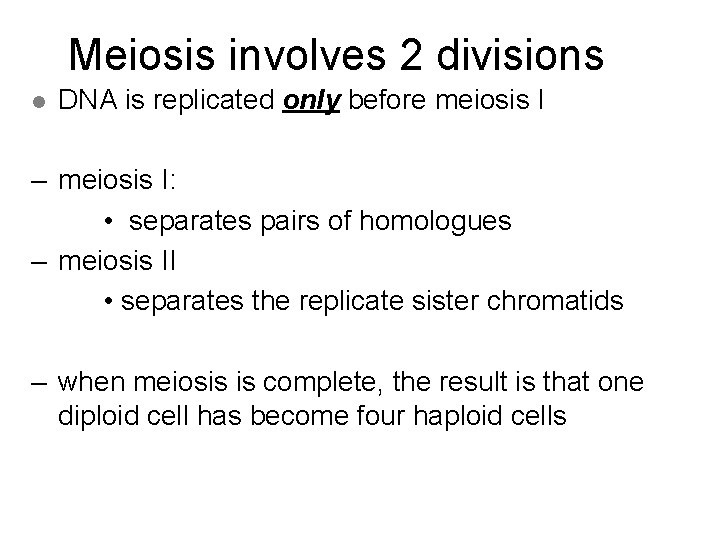 Meiosis involves 2 divisions l DNA is replicated only before meiosis I – meiosis