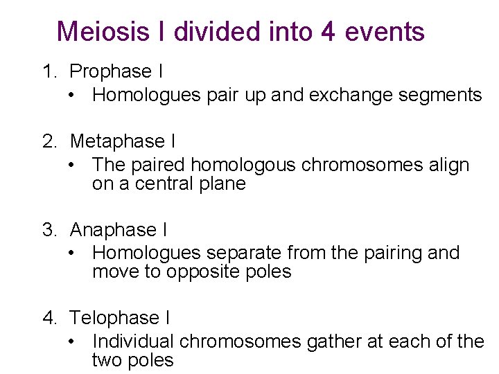 Meiosis I divided into 4 events 1. Prophase I • Homologues pair up and