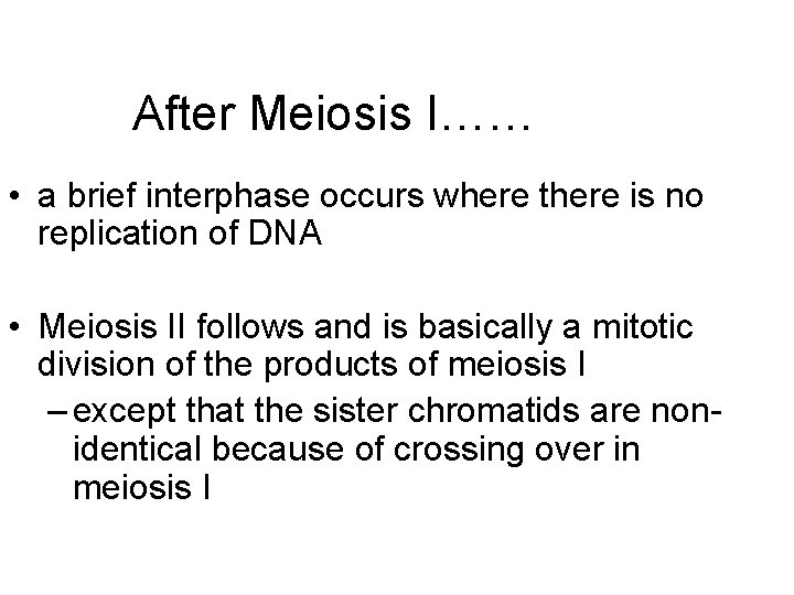 After Meiosis I…… • a brief interphase occurs where there is no replication of