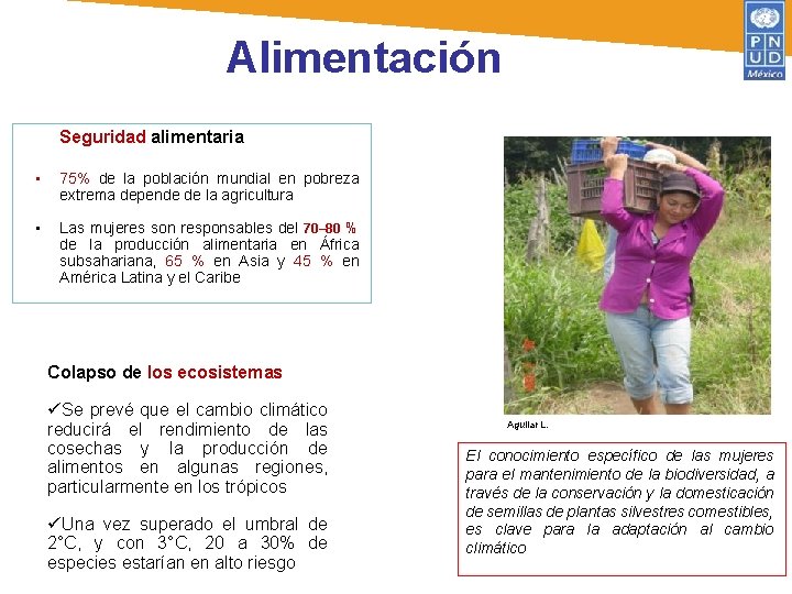 Alimentación Seguridad alimentaria • 75% de la población mundial en pobreza extrema depende de