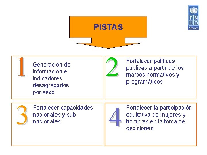 PISTAS 1 3 Generación de información e indicadores desagregados por sexo Fortalecer capacidades nacionales