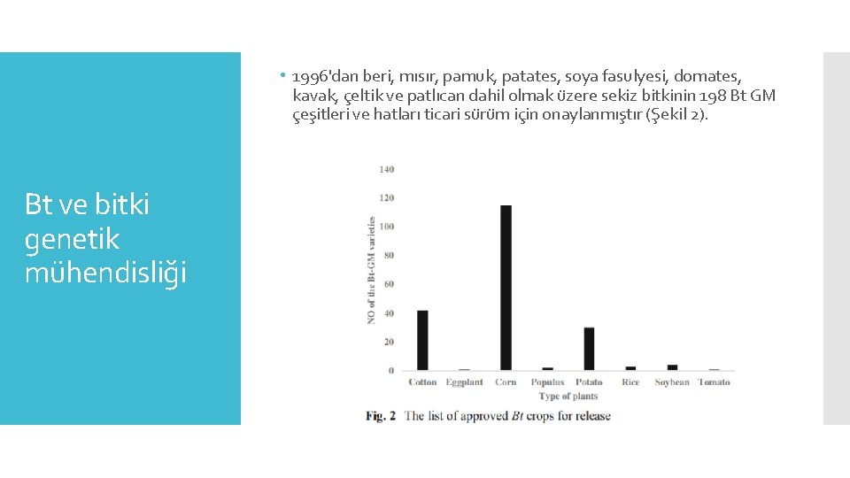  • 1996'dan beri, mısır, pamuk, patates, soya fasulyesi, domates, kavak, çeltik ve patlıcan