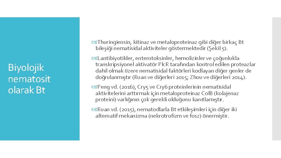  Thuringiensin, kitinaz ve metaloproteinaz gibi diğer birkaç Bt bileşiği nematisidal aktiviteler göstermektedir (Şekil