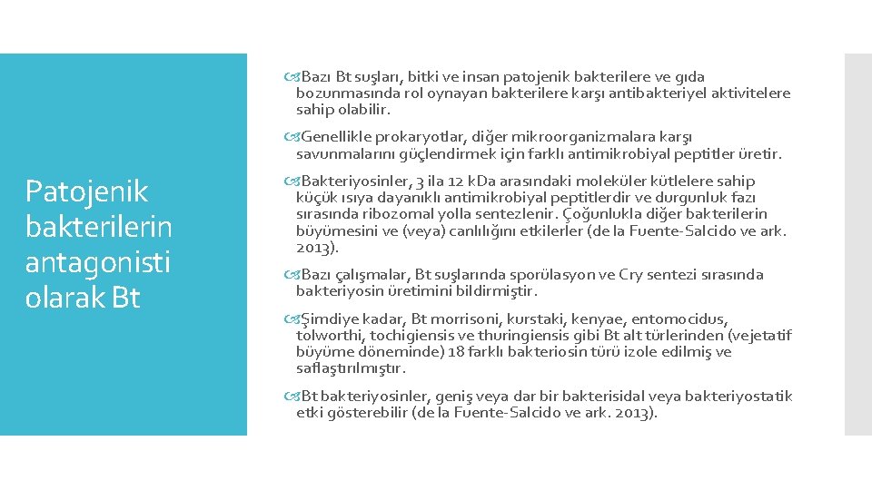  Bazı Bt suşları, bitki ve insan patojenik bakterilere ve gıda bozunmasında rol oynayan