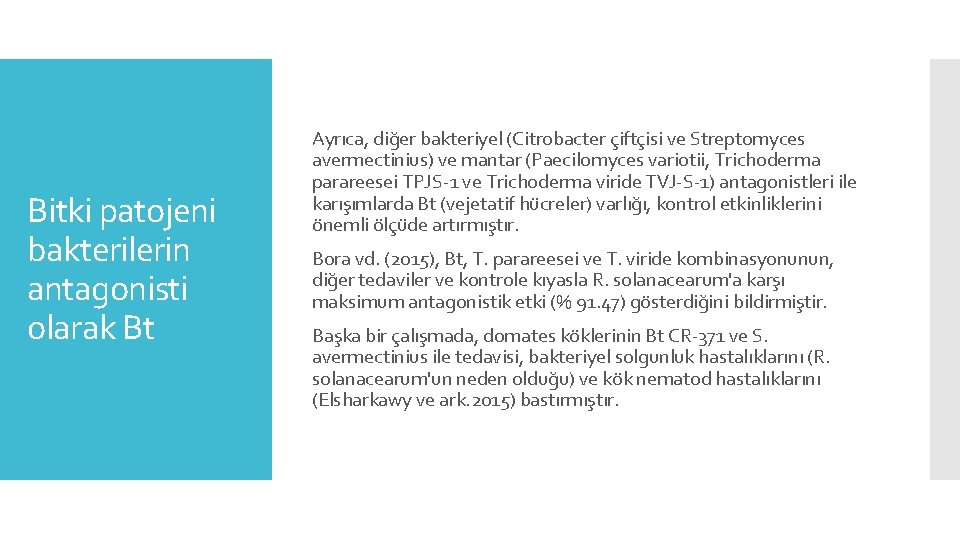 Bitki patojeni bakterilerin antagonisti olarak Bt Ayrıca, diğer bakteriyel (Citrobacter çiftçisi ve Streptomyces avermectinius)