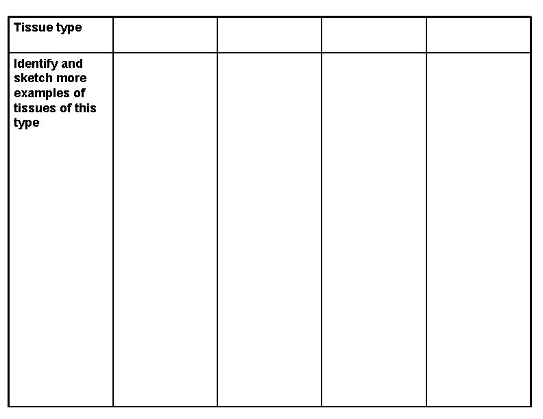 Tissue type Identify and sketch more examples of tissues of this type 