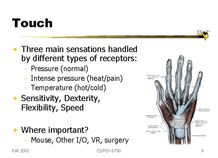 Touch • Three main sensations handled by different types of receptors: - Pressure (normal)