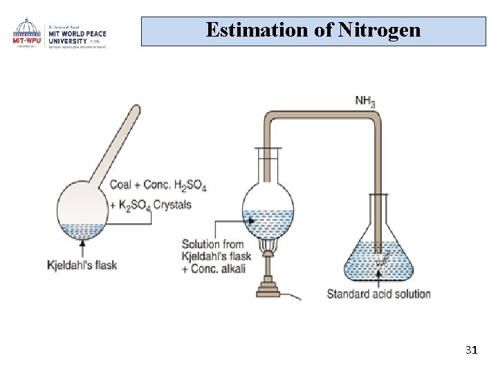 Estimation of Nitrogen 31 