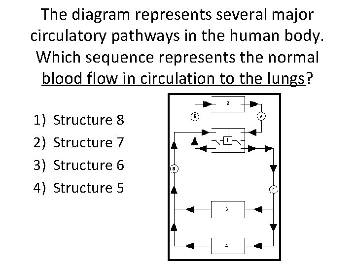 The diagram represents several major circulatory pathways in the human body. Which sequence represents
