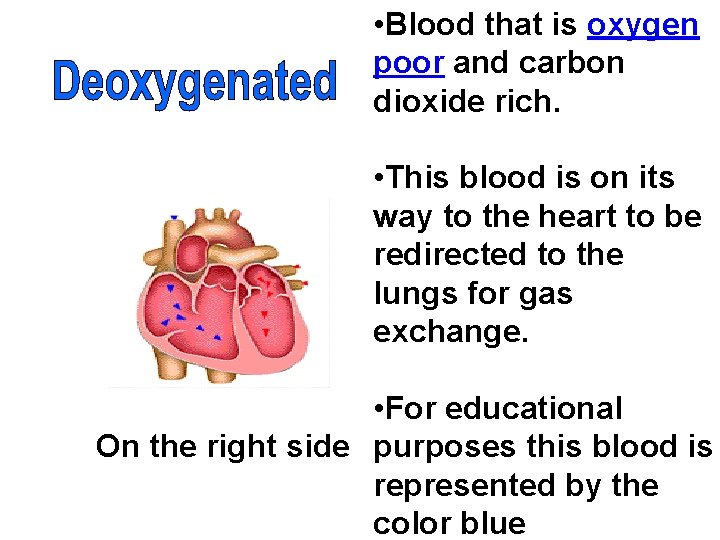  • Blood that is oxygen poor and carbon dioxide rich. • This blood