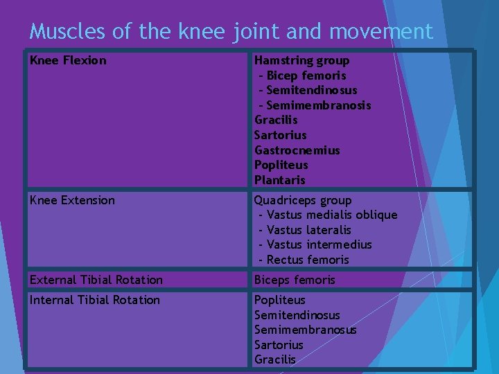 Muscles of the knee joint and movement Knee Flexion Hamstring group - Bicep femoris