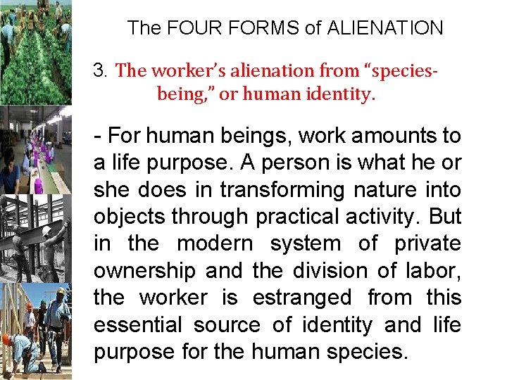 The FOUR FORMS of ALIENATION 3. The worker’s alienation from “speciesbeing, ” or human