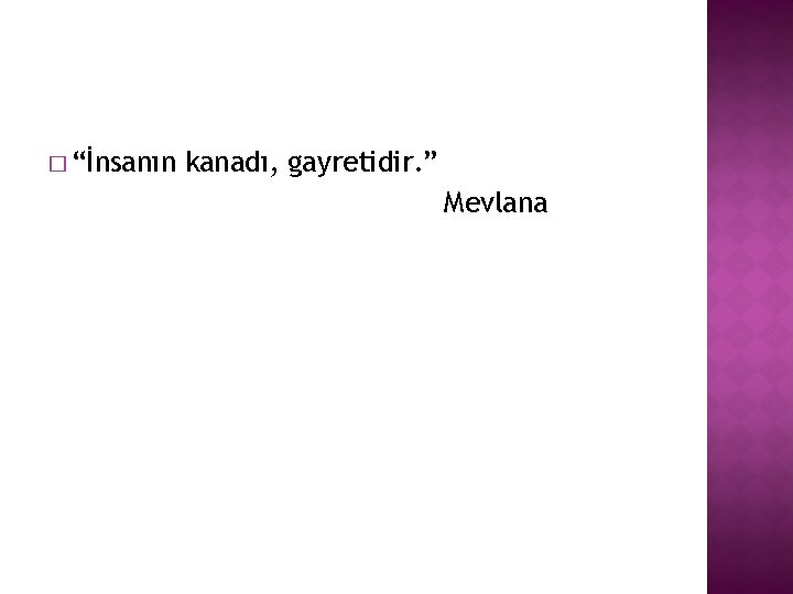 � “İnsanın kanadı, gayretidir. ” Mevlana 