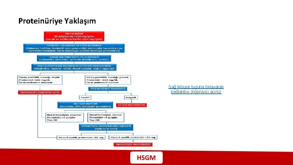 Proteinüriye Yaklaşım Sağ Mouse tuşuna tıklayarak bağlantıyı (köprüyü) açınız 