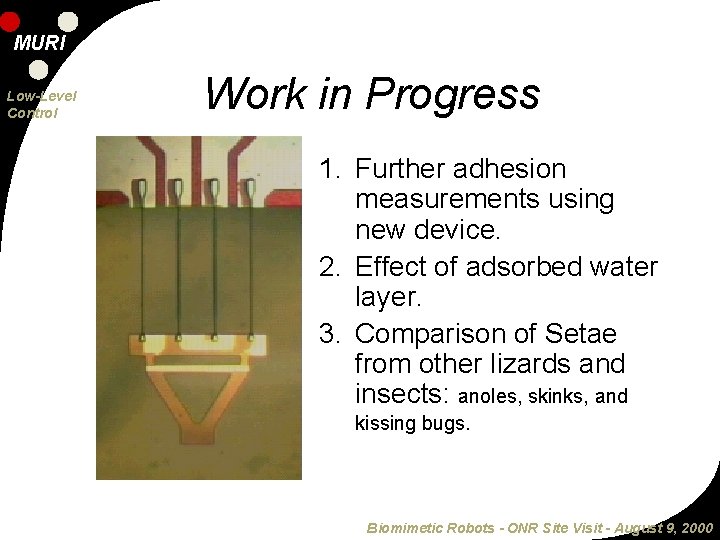 MURI Low-Level Control Work in Progress 1. Further adhesion measurements using new device. 2.