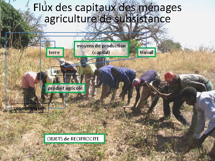 Flux des capitaux des ménages agriculture de subsistance terre moyens de production (capital) agriculture