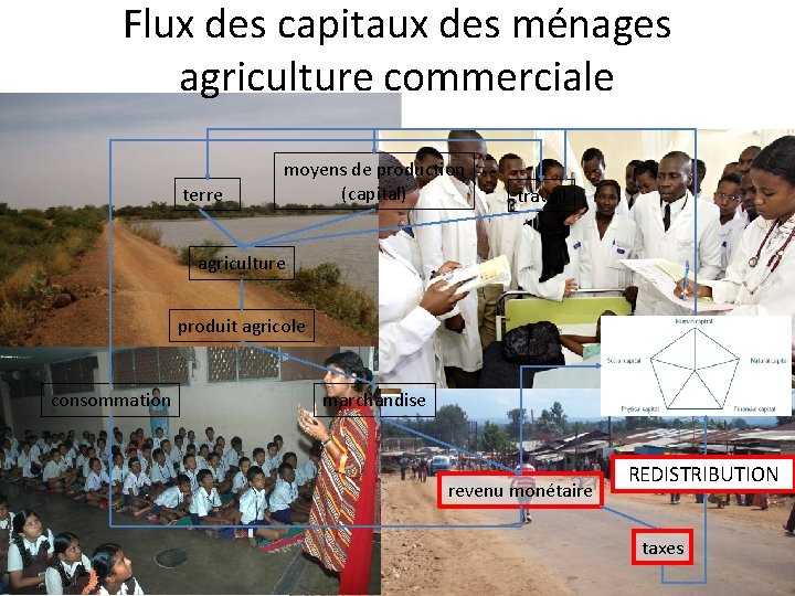 Flux des capitaux des ménages agriculture commerciale terre moyens de production (capital) travail agriculture