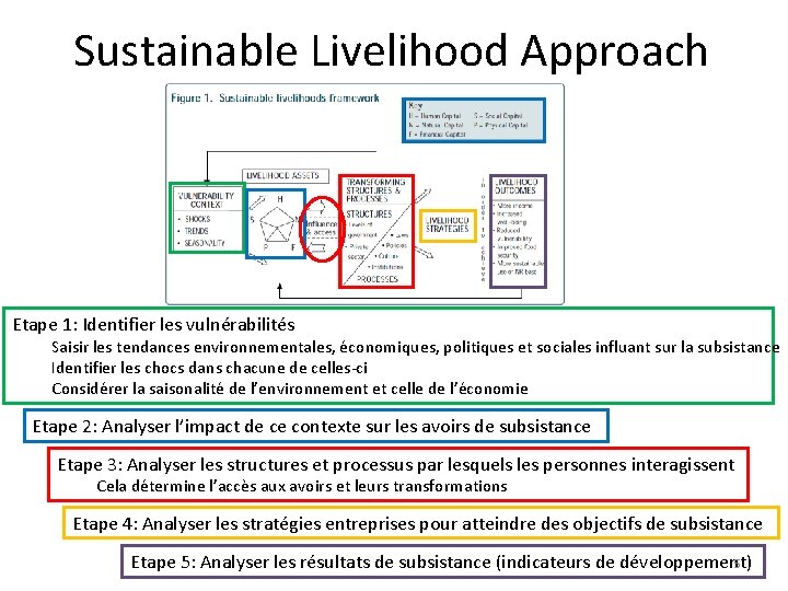 Sustainable Livelihood Approach Etape 1: Identifier les vulnérabilités Saisir les tendances environnementales, économiques, politiques