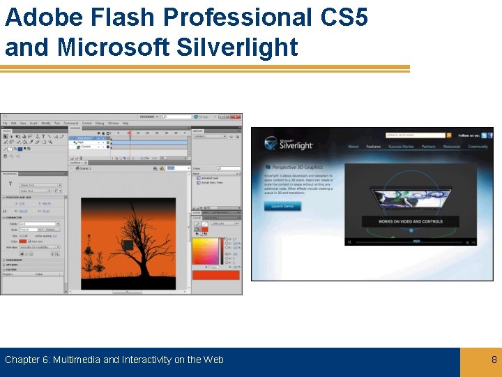 Adobe Flash Professional CS 5 and Microsoft Silverlight Chapter 6: Multimedia and Interactivity on