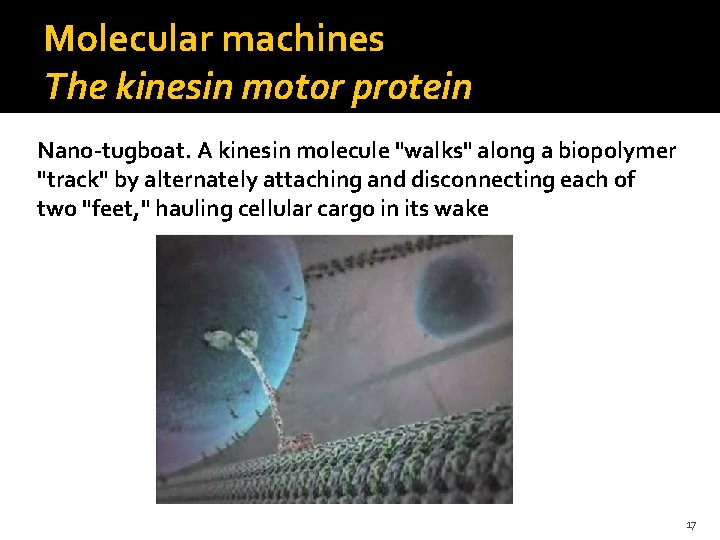 Molecular machines The kinesin motor protein Nano-tugboat. A kinesin molecule "walks" along a biopolymer