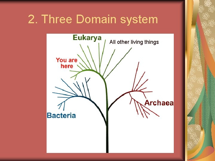 2. Three Domain system All other living things 