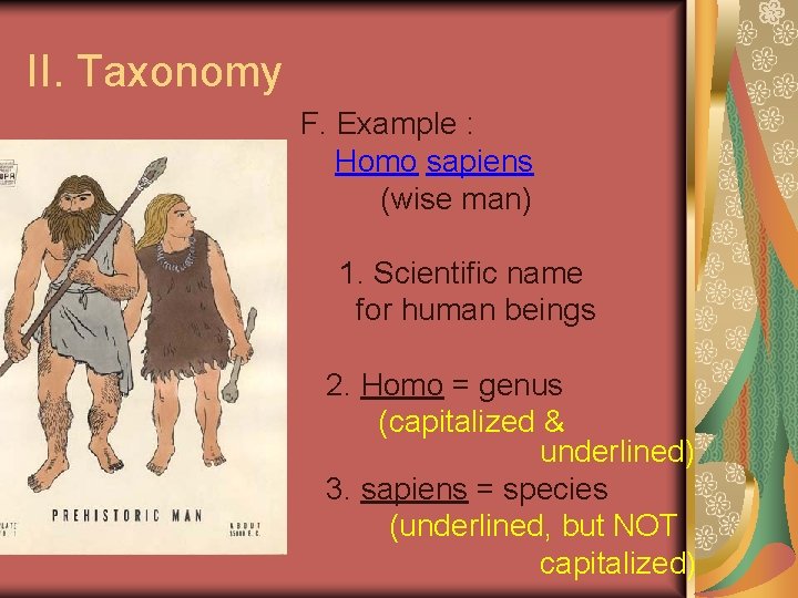 II. Taxonomy F. Example : Homo sapiens (wise man) 1. Scientific name for human