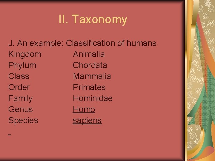II. Taxonomy J. An example: Classification of humans Kingdom Animalia Phylum Chordata Class Mammalia