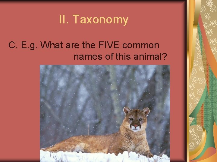 II. Taxonomy C. E. g. What are the FIVE common names of this animal?