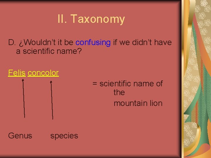 II. Taxonomy D. ¿Wouldn’t it be confusing if we didn’t have a scientific name?
