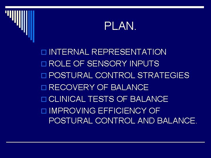 PLAN. o INTERNAL REPRESENTATION o ROLE OF SENSORY INPUTS o POSTURAL CONTROL STRATEGIES o