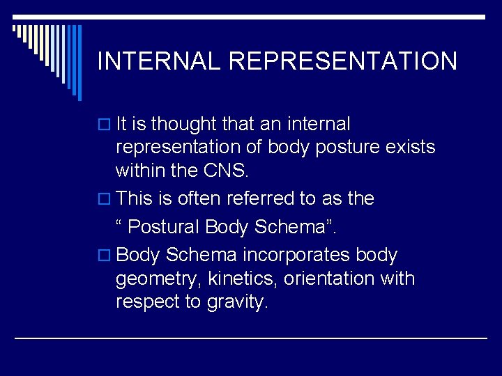 INTERNAL REPRESENTATION o It is thought that an internal representation of body posture exists