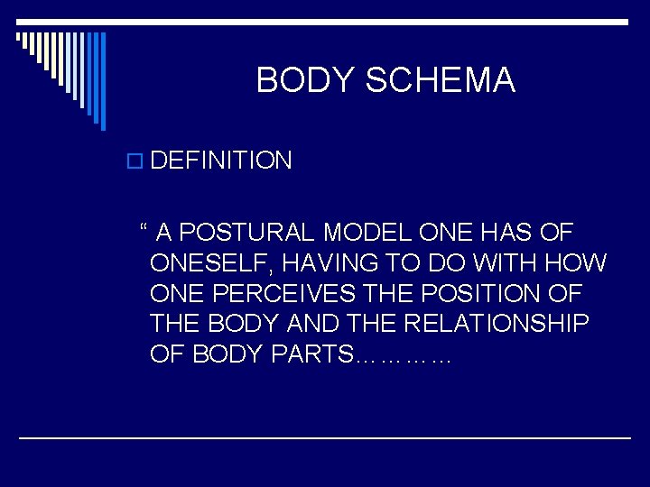 BODY SCHEMA o DEFINITION “ A POSTURAL MODEL ONE HAS OF ONESELF, HAVING TO