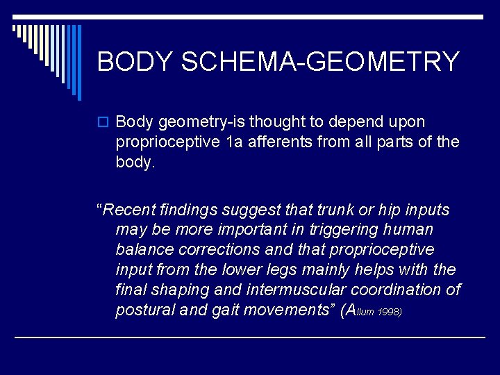 BODY SCHEMA-GEOMETRY o Body geometry-is thought to depend upon proprioceptive 1 a afferents from