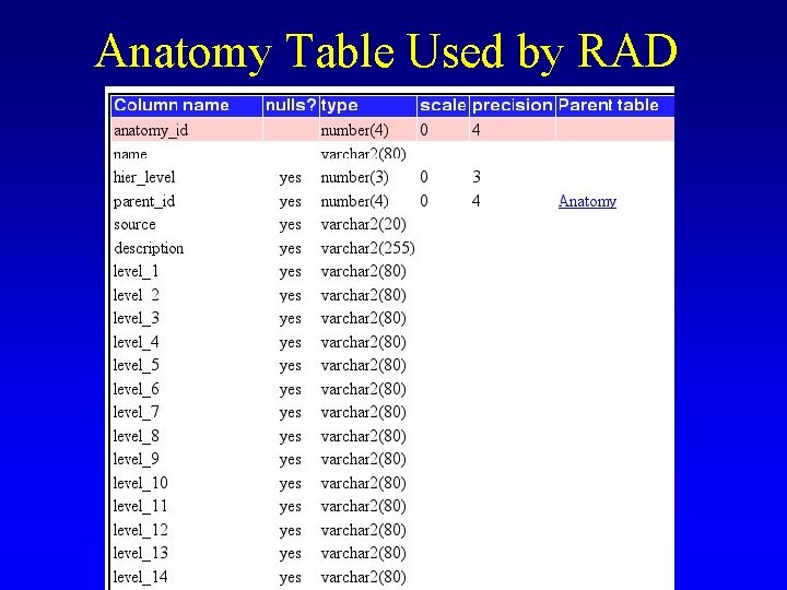 Anatomy Table Used by RAD 
