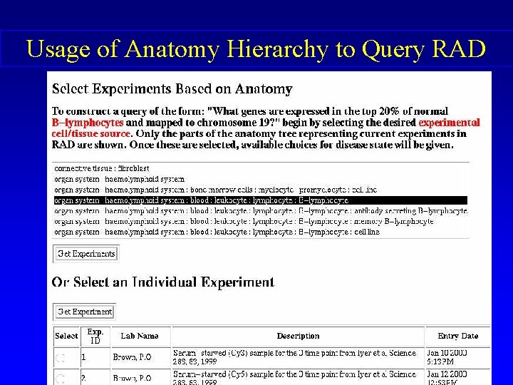 Usage of Anatomy Hierarchy to Query RAD 