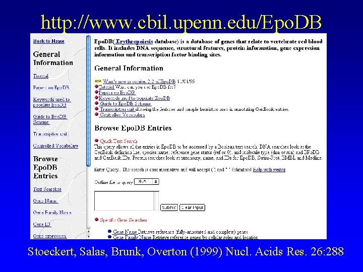 http: //www. cbil. upenn. edu/Epo. DB Stoeckert, Salas, Brunk, Overton (1999) Nucl. Acids Res.