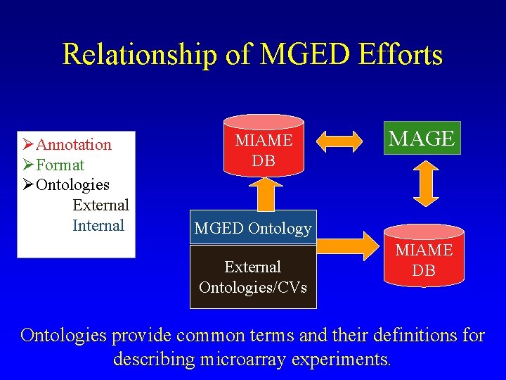 Relationship of MGED Efforts ØAnnotation ØFormat ØOntologies Ø External Ø Internal MIAME DB MAGE