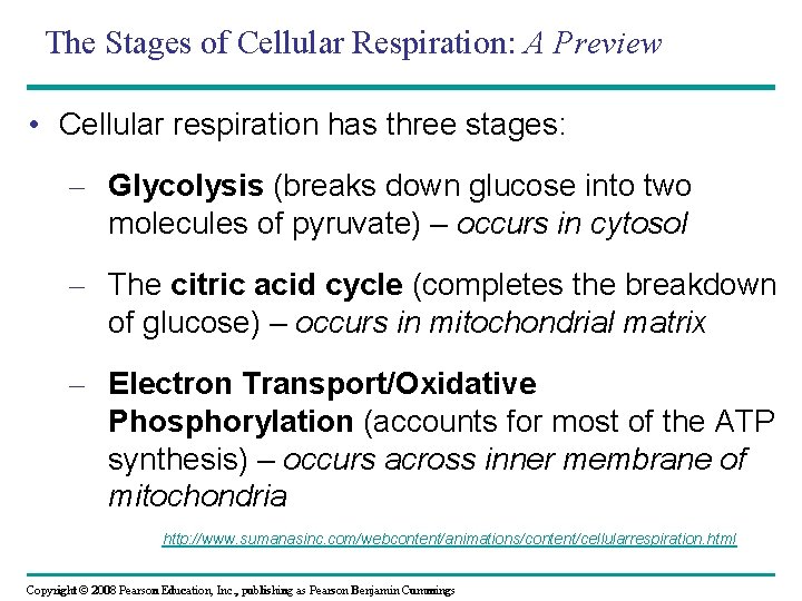 The Stages of Cellular Respiration: A Preview • Cellular respiration has three stages: –