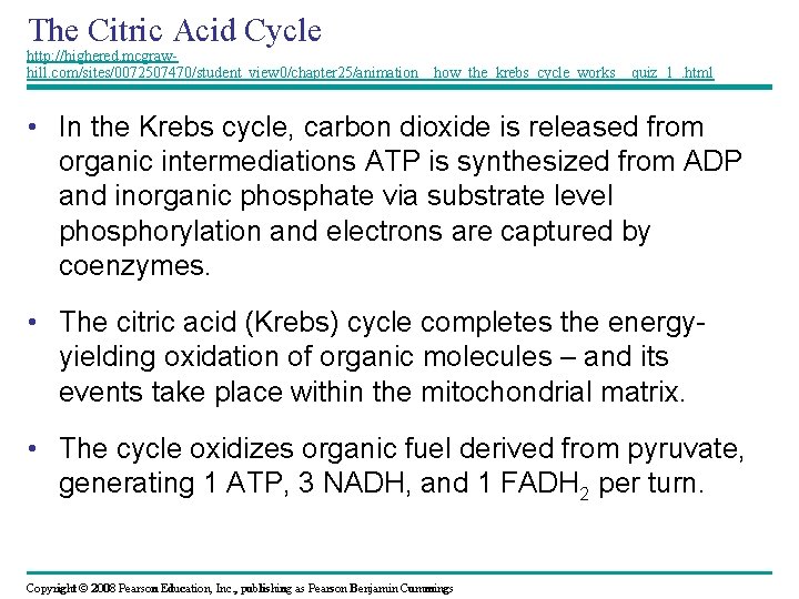 The Citric Acid Cycle http: //highered. mcgrawhill. com/sites/0072507470/student_view 0/chapter 25/animation__how_the_krebs_cycle_works__quiz_1_. html • In the