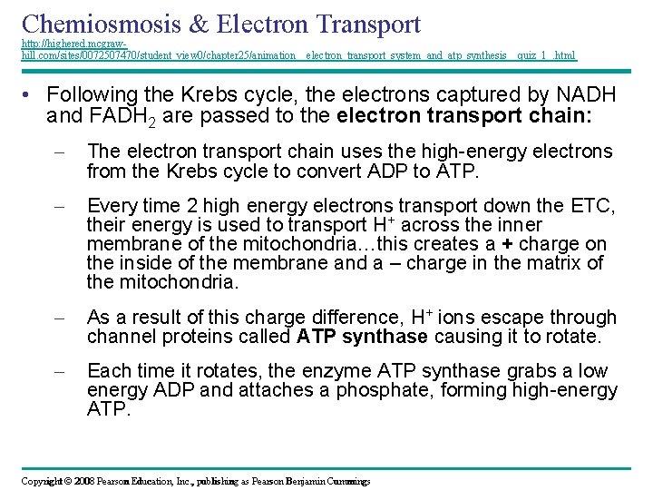Chemiosmosis & Electron Transport http: //highered. mcgrawhill. com/sites/0072507470/student_view 0/chapter 25/animation__electron_transport_system_and_atp_synthesis__quiz_1_. html • Following the