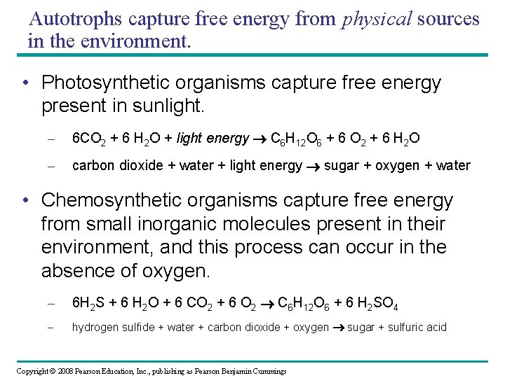 Autotrophs capture free energy from physical sources in the environment. • Photosynthetic organisms capture