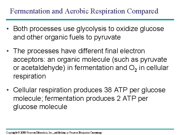 Fermentation and Aerobic Respiration Compared • Both processes use glycolysis to oxidize glucose and