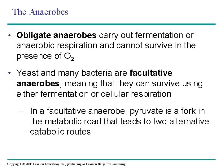The Anaerobes • Obligate anaerobes carry out fermentation or anaerobic respiration and cannot survive