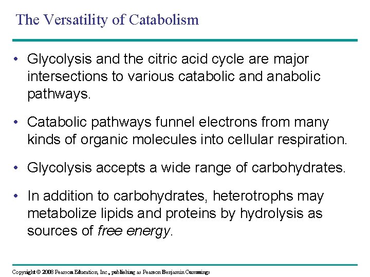 The Versatility of Catabolism • Glycolysis and the citric acid cycle are major intersections
