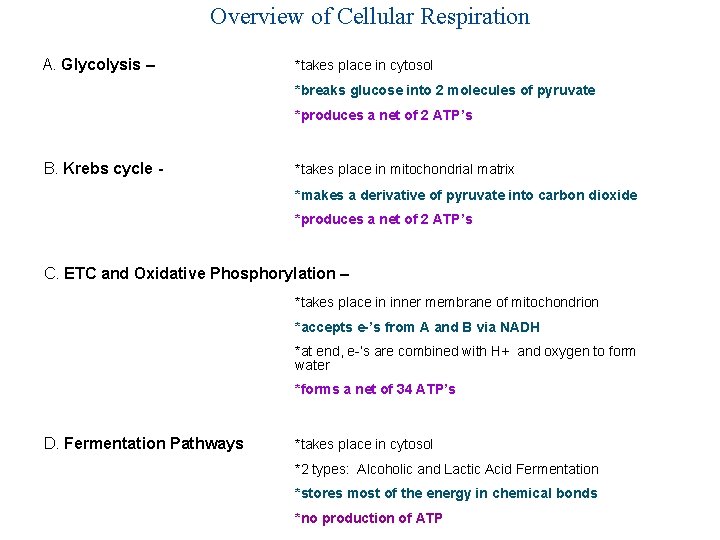 Overview of Cellular Respiration A. Glycolysis – *takes place in cytosol *breaks glucose into