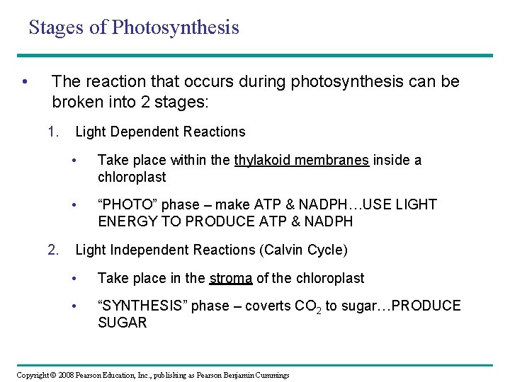 Stages of Photosynthesis • The reaction that occurs during photosynthesis can be broken into